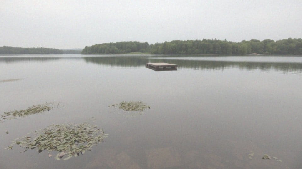 Gdzie występuje ryba amur?