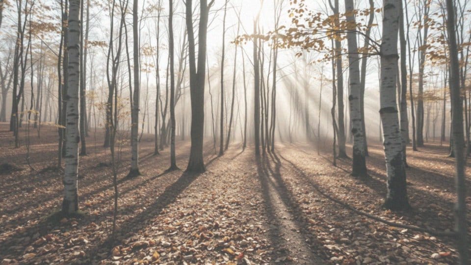 Czy stwardnienie rozsiane jest dziedziczne? Zrozumienie etiologii