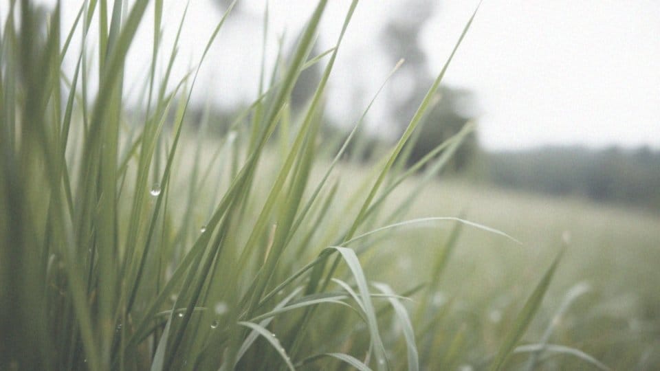 Czy ugryzienie kleszcza boli? Wszystko, co musisz wiedzieć