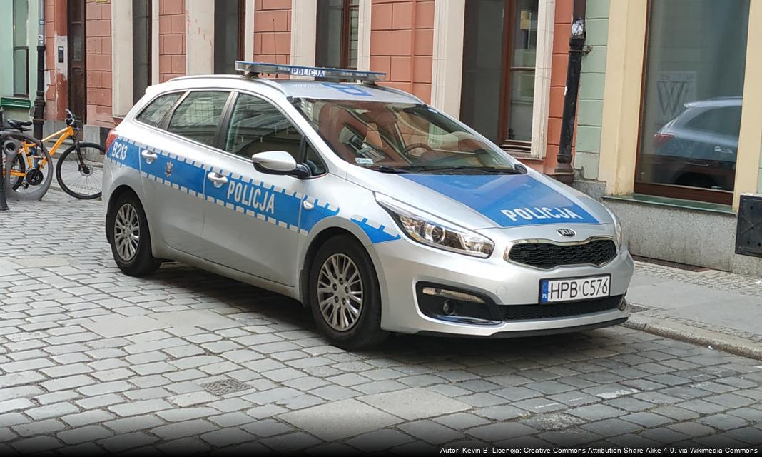 Policja i Leśnicy w Kowarach Walczą z Nielegalną Wycinką Choinek